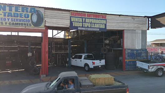 Llantera Tadeo Baja